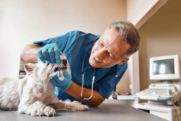 Best Emergency Root Canal Treatment in South Miami Heights, FL